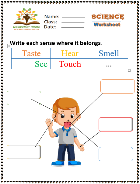 Rich Results on Google's SERP when searching for Science Kindergarten worksheet 1